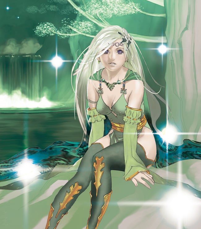 Lord of Vermilion Illustrations Books.