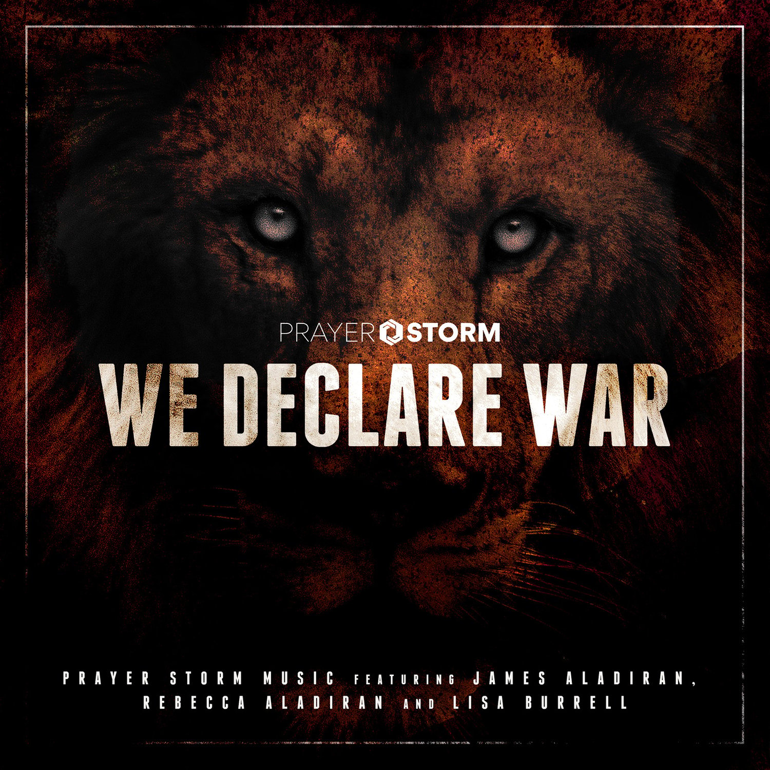We Declare War (Audio CD Hard Copy)