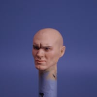 Image 2 of Viper