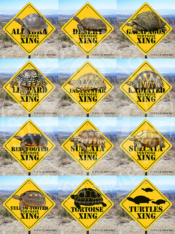 Image of Turtle & Tortoise Crossing Metal Sign