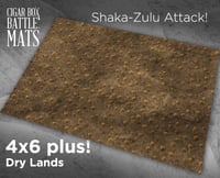 Image 1 of Dry Lands -- 4'x6' plus -- #490