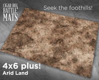 Image 1 of Arid Lands -- 4'x6' plus -- #480