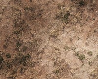 Image 2 of Arid Lands -- 4'x6' plus -- #480
