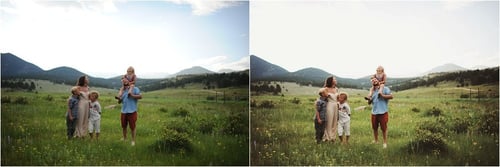 Image of SBP Greens Collection (CS2-6 and CC)