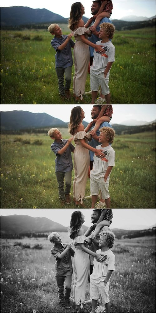 Image of SBP Greens Collection (CS2-6 and CC)