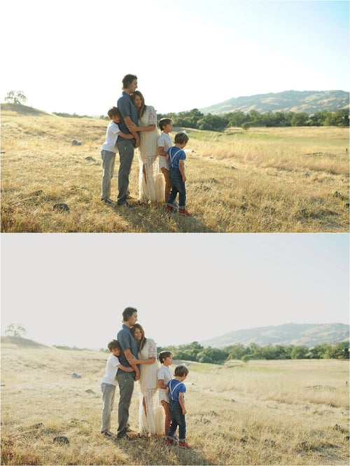 Image of SBP Greens Collection (CS2-6 and CC)