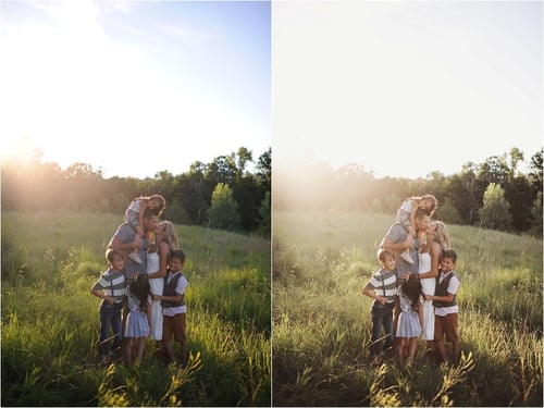 Image of The Greens Collection for Lightroom