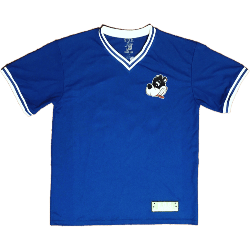 Image of Skunk the World Series baseball jersey