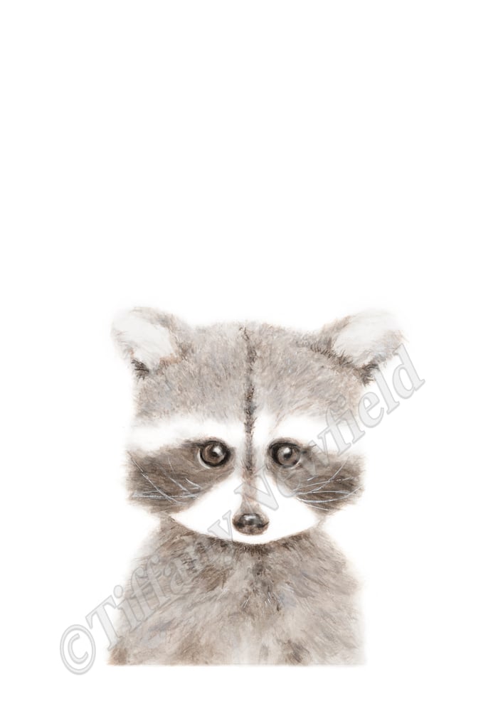 Image of Baby Raccoon Nursery Wall Art