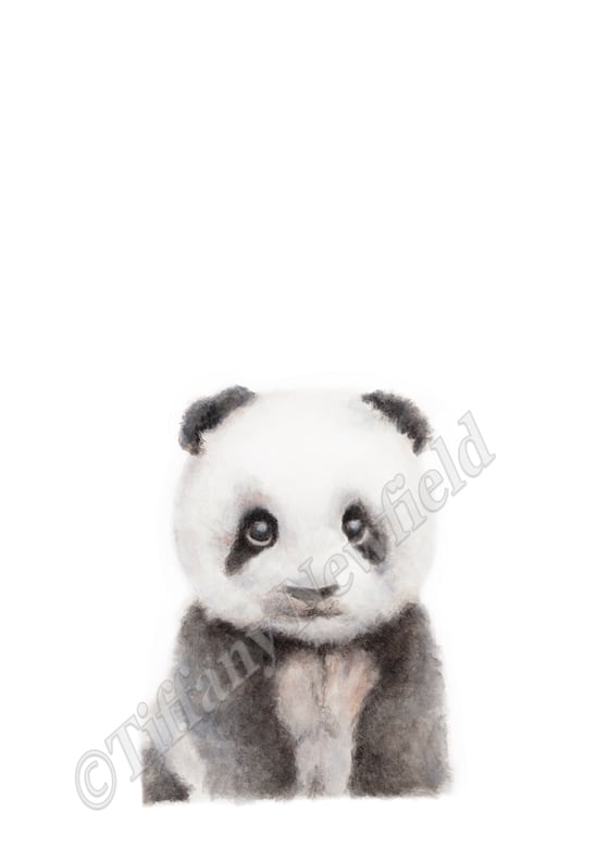 Image of Baby Panda Nursery Wall Art