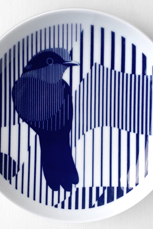 Image of Helmeted Honeyeater