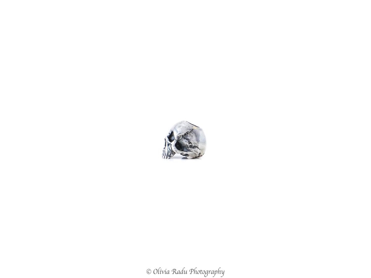 Skull - Type 2