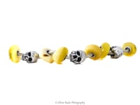 Image 5 of Skull - Type 2