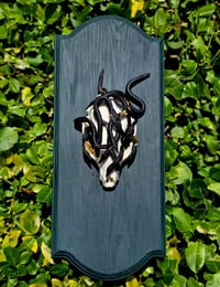 Image 1 of Medusa