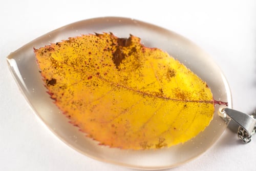 Image of Autumn Leaf Pendant - Large #1