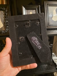 Image 3 of 1800’s biblical Ghost with preserved spider web - ornate black frame