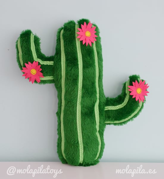 Image of Cactus with flowers