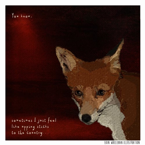 Image of Dolittle - Fox