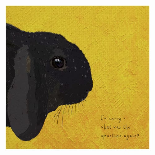 Image of Dolittle - Rabbit