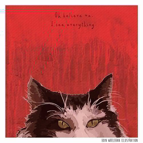 Image of Dolittle - Cat