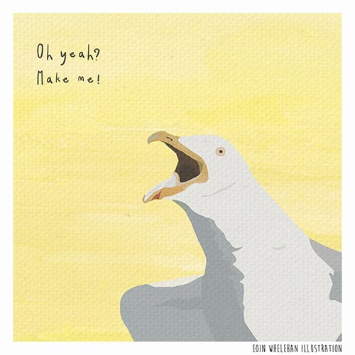 Image of Dolittle - Seagull