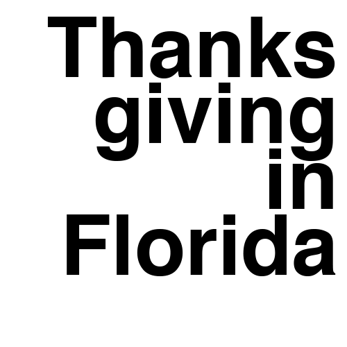 Image of "THANKSGIVING IN FLORIDA" zine