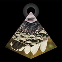 BELUS "apophenia" CD