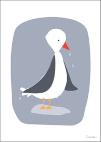 Image 2 of Affiche - Canard des neiges (A4)