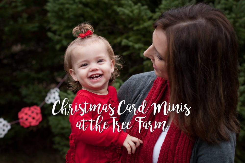 Image of NOVEMBER 11 | Christmas Card Minis | Tree Farm Location
