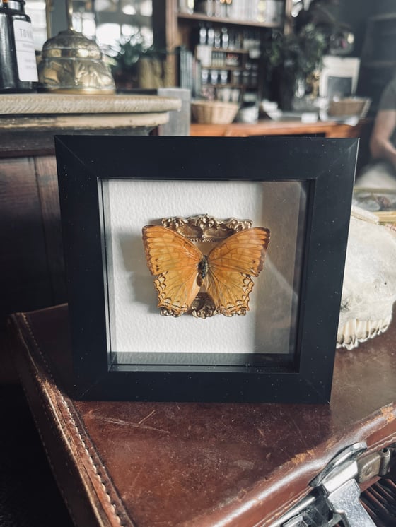 Image of Mini Frame #2