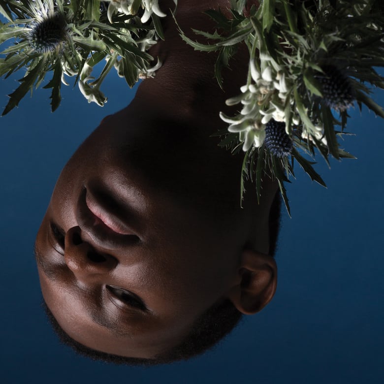 Image of Tribe Frowst  Tribe Frowst (Vinyl, CD & Download)