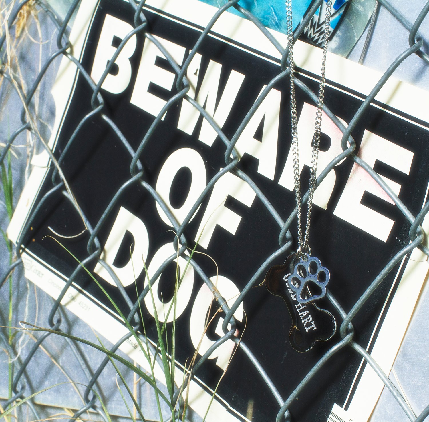 Image of DOG POUND NECKLACE