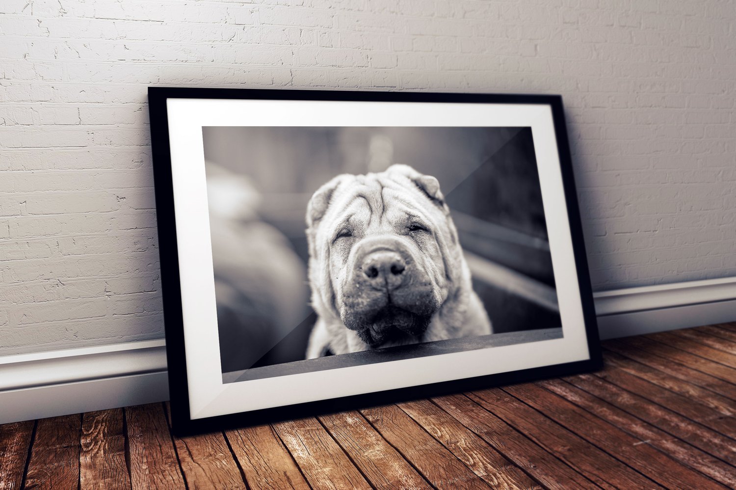 Image of Shar-Pei No mind print