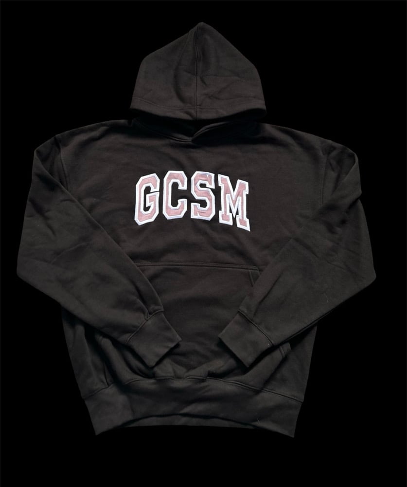 P!NK Hoodie