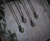 Image 2 of Tiny carnivore teeth necklace