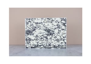 Image of PAPILIO KARNA KARNA