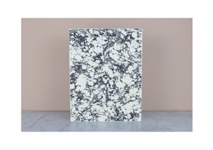 Image of ORNITHOPTERA PRIAMUS POSEIDON PAIR: one male and one female