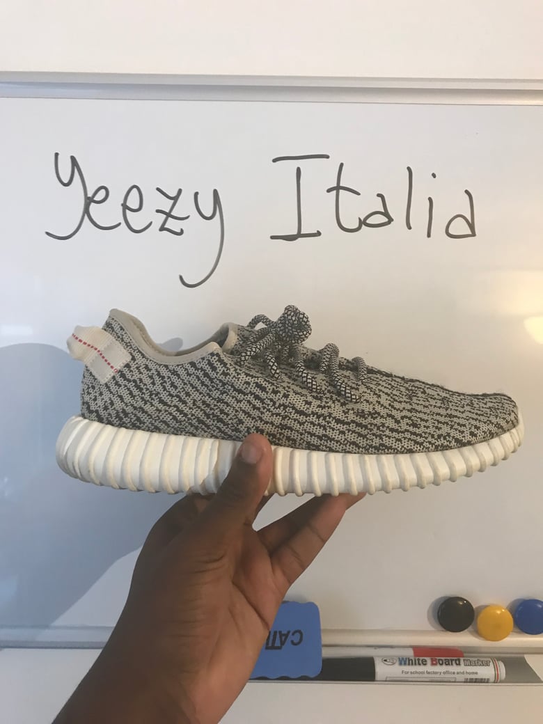 Image of TURTLE DOVE US9 RAFFLE