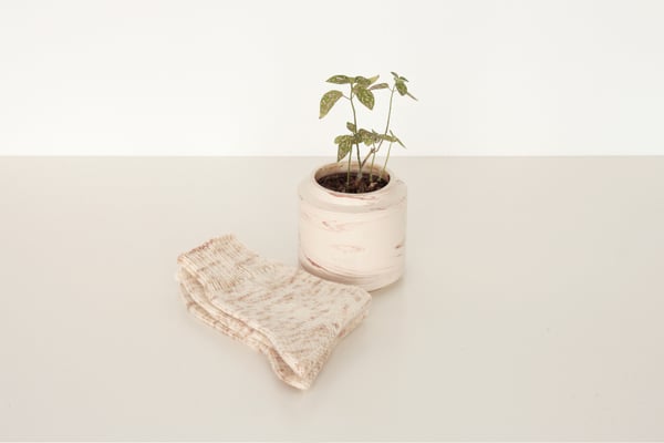 Image of Merino wool home socks white and brown