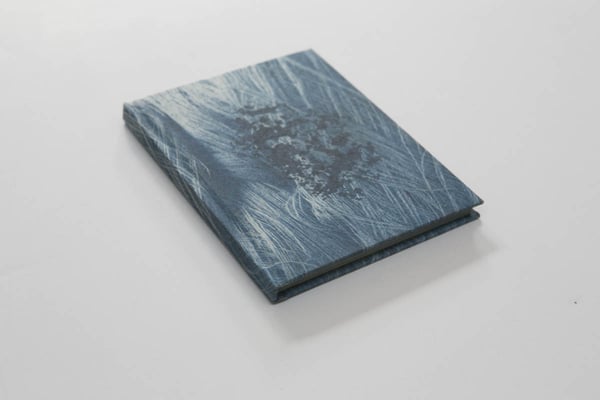 Image of Layers That Swallow (Artist Book)
