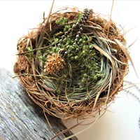 Image 4 of Simple Pine Cone Necklace (Silver or Gold on Gunmetal)