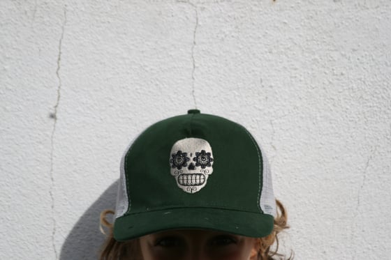 Image of Trucker "skull" hat