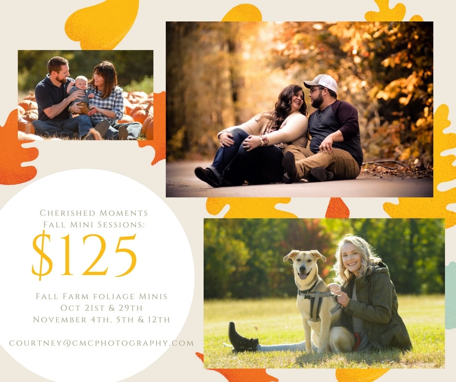 Image of Fall Mini session special