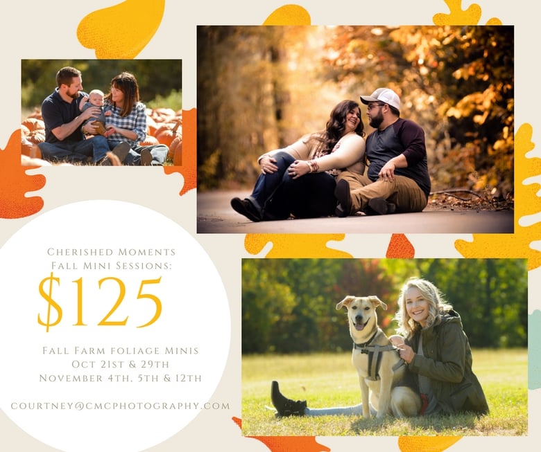Image of Fall Mini session special 