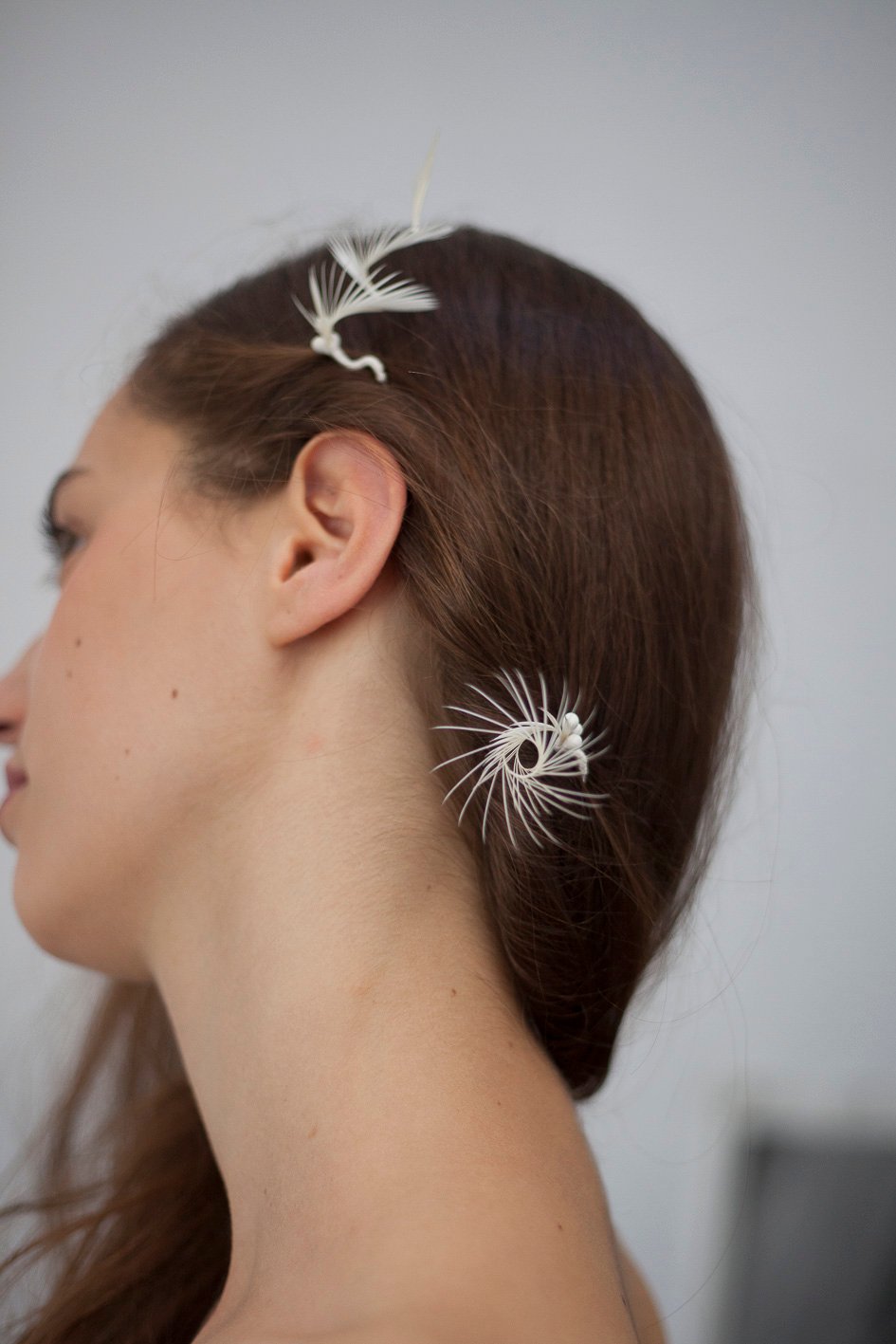 Image of Paléas épingles à cheveux