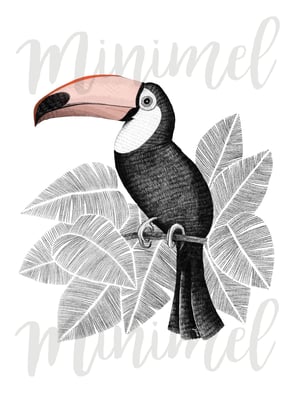 Image of Affiche Toucan A3 / Toucan A3 poster
