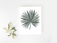 Image 1 of Affiche Palm A3 / Palm A3 poster -50%
