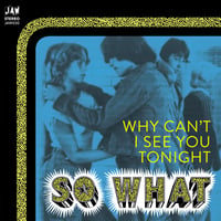 Image 1 of SO WHAT "Why Can't I See You Tonight" 7" black vinyl or test pressing (exclusive b-side!) (JAW030)