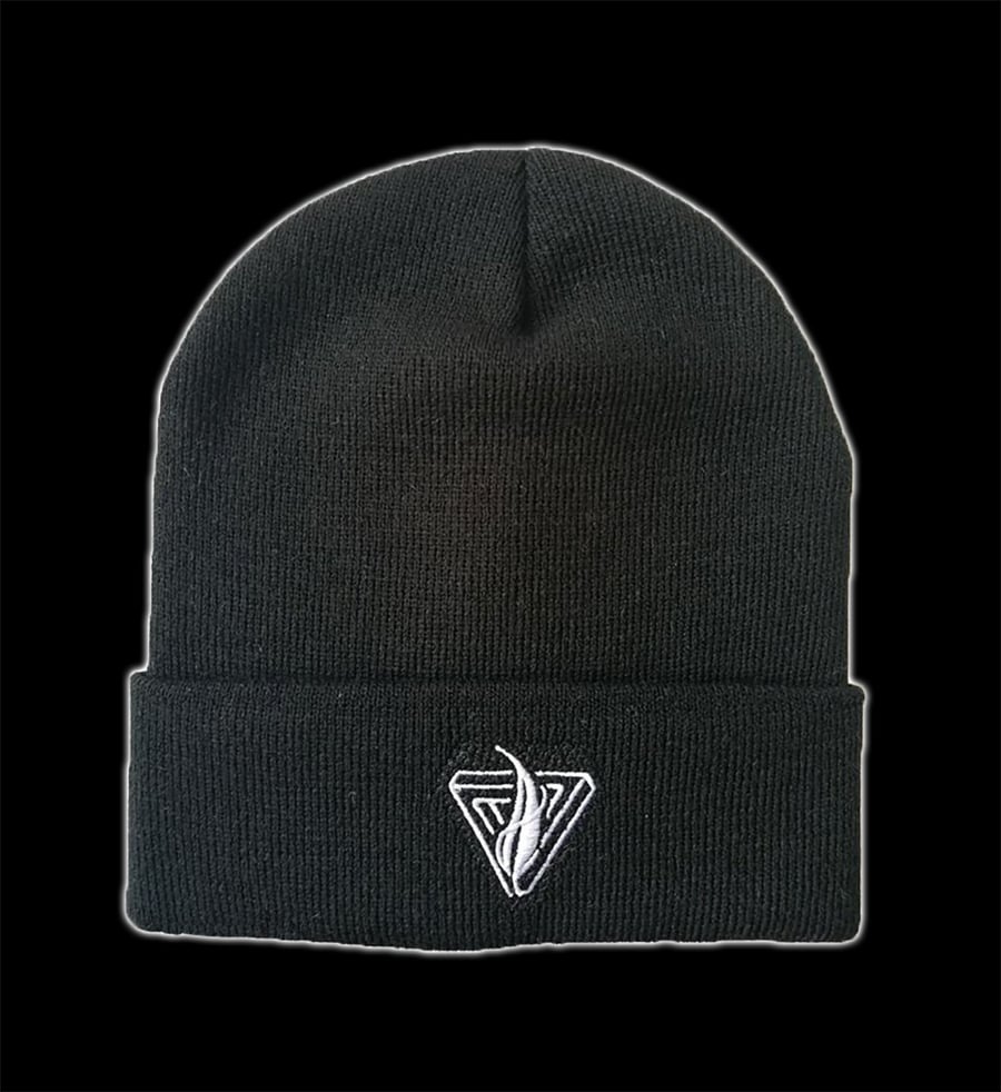 Image of Insignia Beanie
