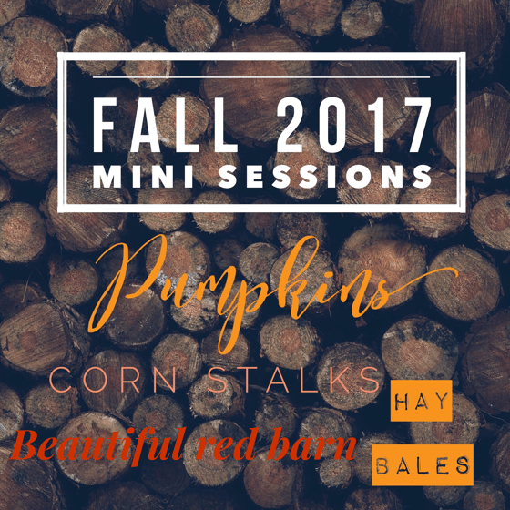 Image of Fall 2017 Mini Sessions